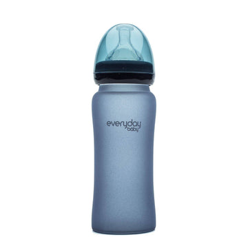 Glass Baby Bottle Heat Sensing 300ml - Everyday Baby