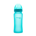 Glass Baby Bottle Heat Sensing 300ml - Everyday Baby